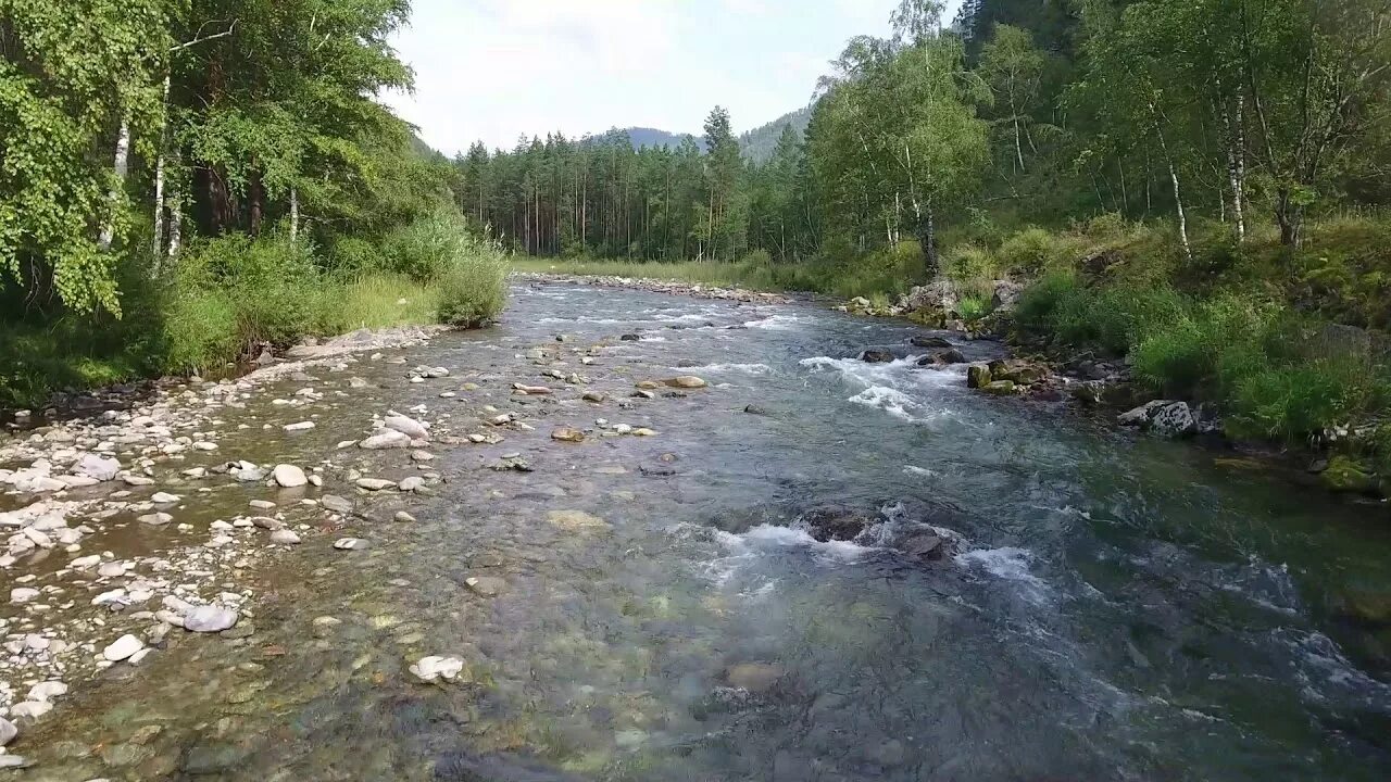 Река Куба горный Алтай Чемал. Речка Куба Чемал. Река Куба в Чемале. Урочище Ингурек Чемальского района.