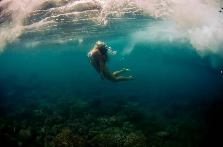 Лучшие фото под водой Фотограф снимает подводную "игровую площадку" с профессиональными фридайверами