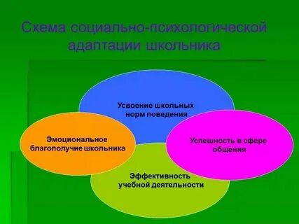 Факторы успешности адаптации