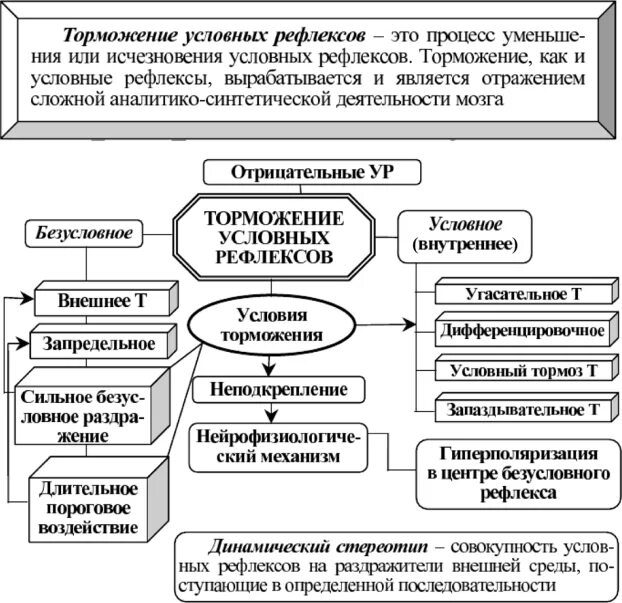 Охранительное значение имеет торможение условных рефлексов. Охранительное значение имеет торможение условных рефлексов