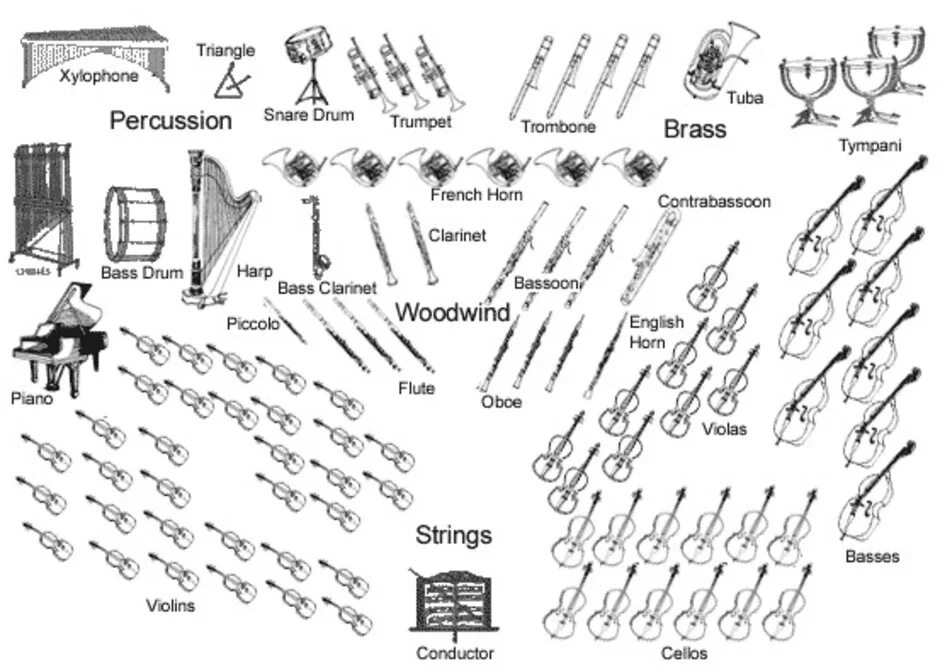Сколько групп в симфоническом. Рассадка симфонического оркестра схема. Рассадка музыкантов в симфоническом оркестре. Схема расположения инструментов в симфоническом оркестре. Немецкая рассадка симфонического оркестра схема.