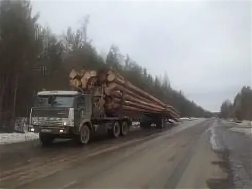 Усть илимск лесовозы. Усть илимск лесовозы. Усть илимск лесовозы. Лесовозы группы илим. Урал 4320 хлыстовоз.