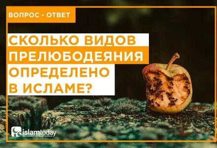 Прелюбодеяние в исламе
