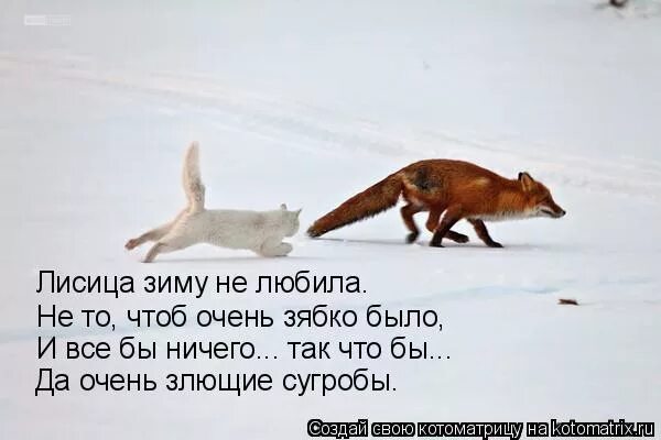 Ненавижу зиму