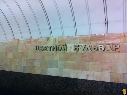 Метро цветной бульвар адрес