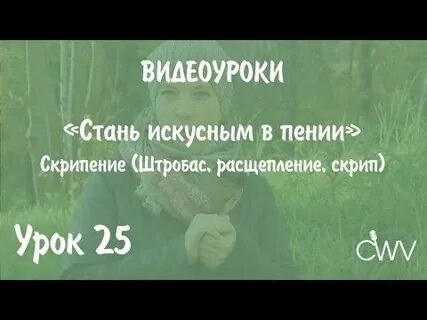 Уроки скрипа