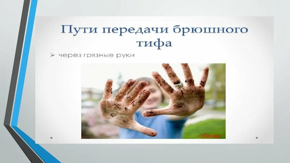 Брюшной тиф передается путем. Брюшной тиф пути передачи. тиф механизм передачи. брюшной тиф механизм передачи. брюшной тиф пути передачи инфекции.