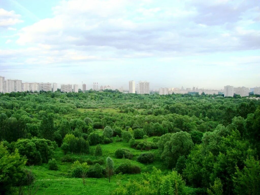 Застройка южного тушино. Южное тушино. 10 микрорайон южное тушино. Южное тушино 7. Южное тушино зима.