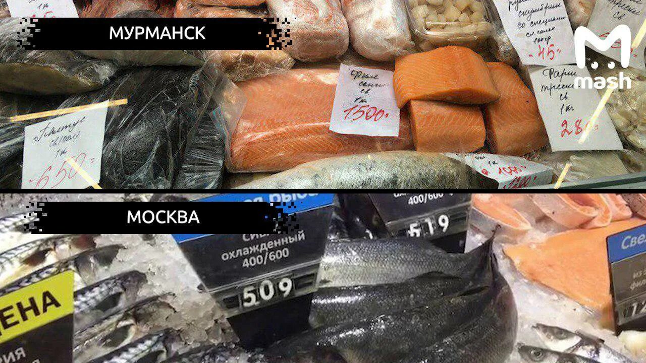 магазин sevaro мурманск. рыба тут!, мурманск, скальная улица. рыба тут. щербакова 14 мурманск на карте. рыба тут!, мурманск, скальная улица.