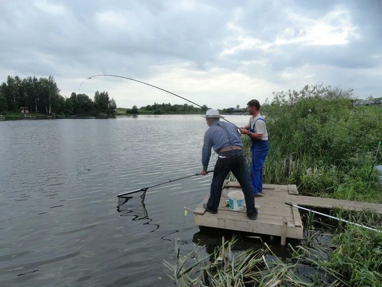 Савельево 1 платная рыбалка. Биг Карп Красногорск платная рыбалка. Рыбалка Стремилово. Красногорская плотина рыбалка.