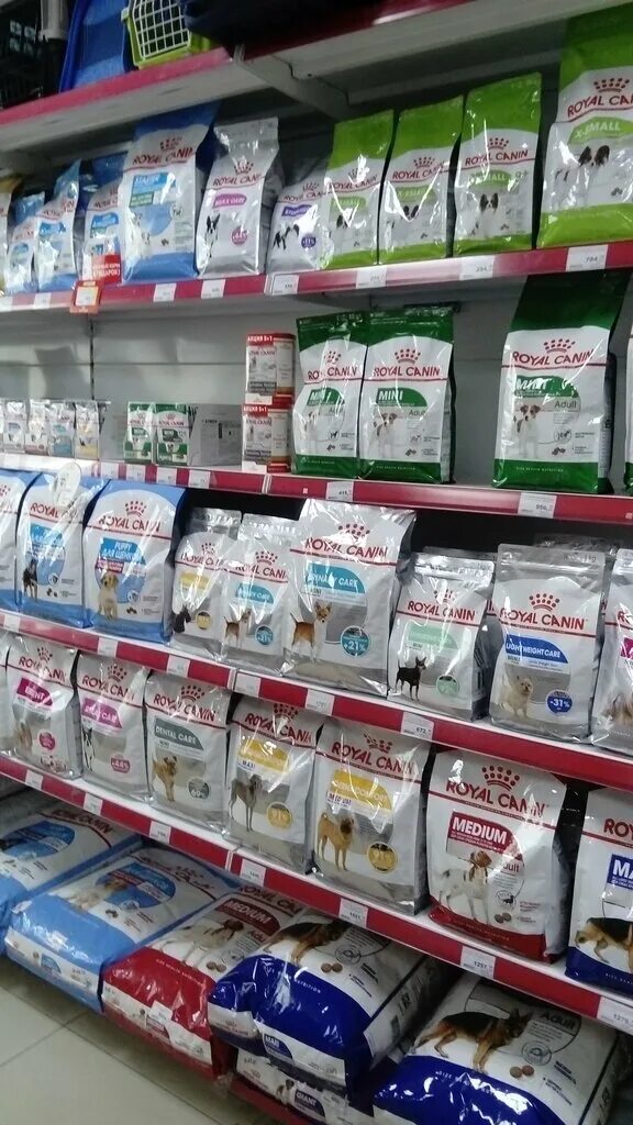 Зоомагазин нижняя тура. Зоомагазин в нижнем новгороде. Реклама на окнах зоомагазин. Интернет магазины зоотоваров нижний новгород. Зоомагазин в нижнем новгороде.
