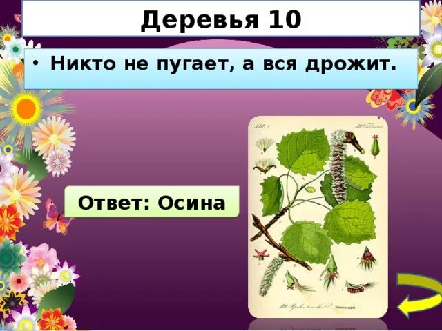 Пугает а вся дрожит. Отгадка на загадку никто не пугает а вся дрожит. Никто не пугает а вся. Никто не пугает а вся дрожит отгадка. Никто не пугает.