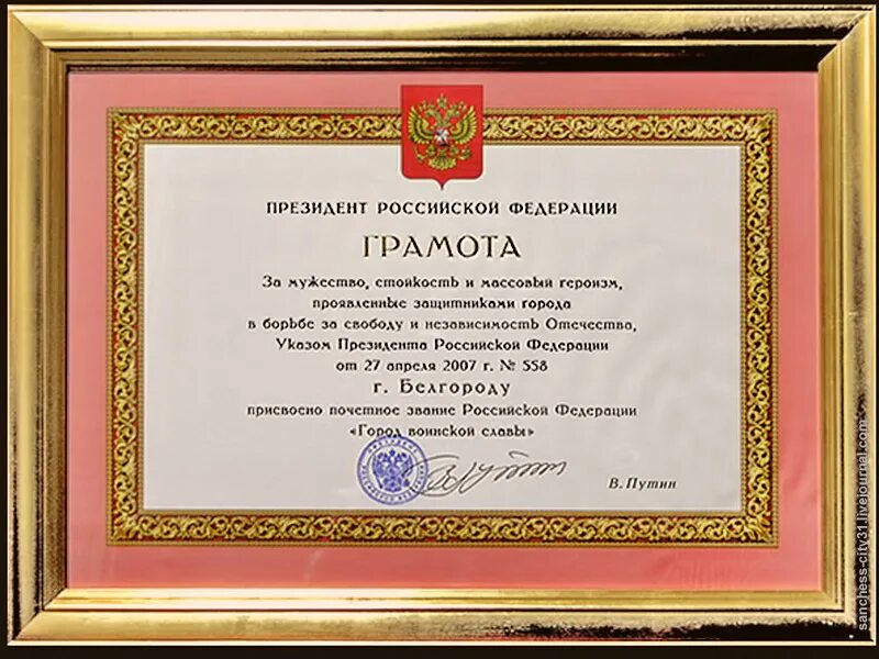 Несмотря грамота. Грамота президента рф. почётная грамота президента российской федерации. грамота от президента. диплом от президента.