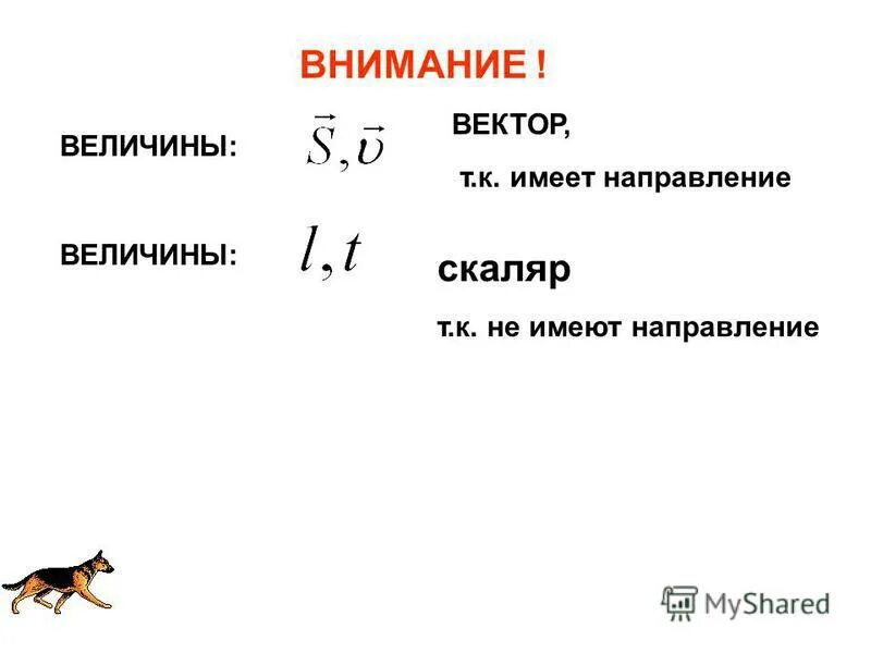 Укажите векторные величины