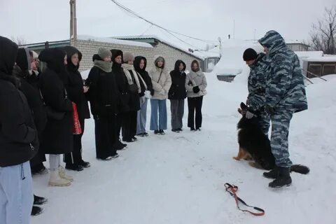 Софийский десант 2024