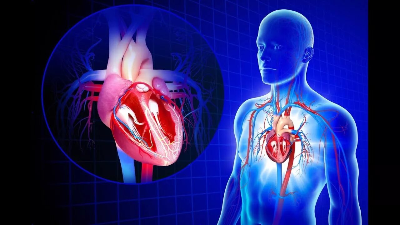 Heart science