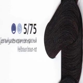 Цвет 5 75
