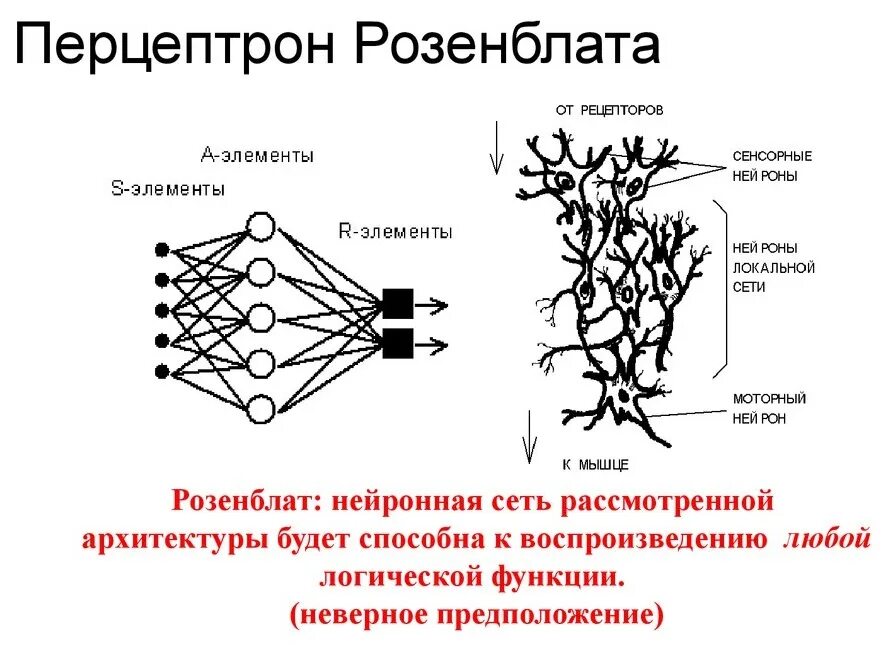 Розенблат персептрон. Нейросеть персептрон. Персептрон розенблатта. Перцептрон. Многослойный персептрон розенблатта.