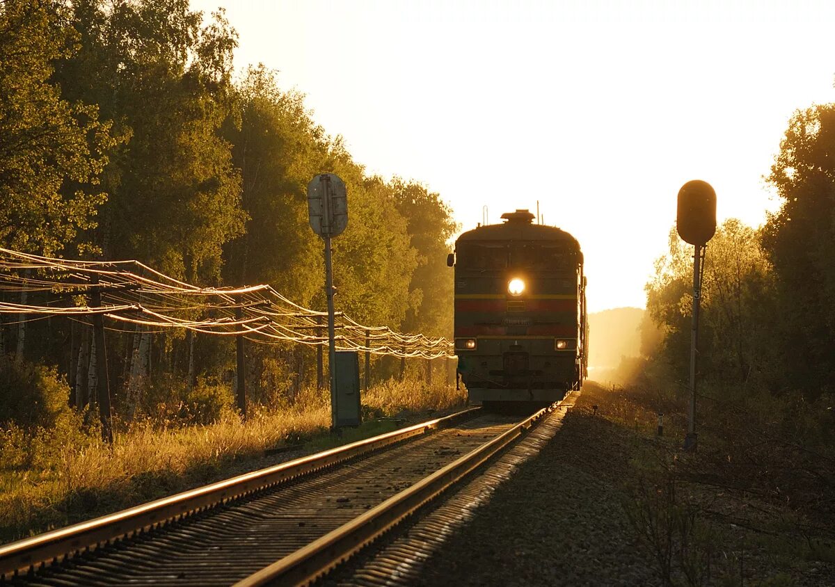 железная дорога в даль. поезд ушел. рельсы уходящие в даль. железная дорога вдаль. пейзаж с железной дорогой.