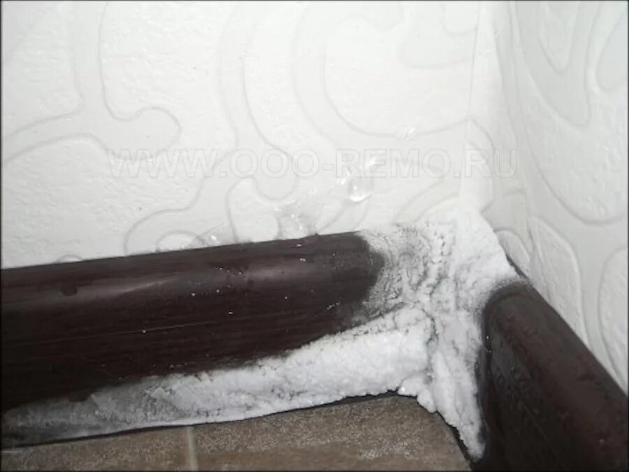 Белый грибок на стенах. Белая плесень на стенах в квартире. Белый грибок на стенах в квартире. Промерзают углы в доме. Плесень в доме в углах