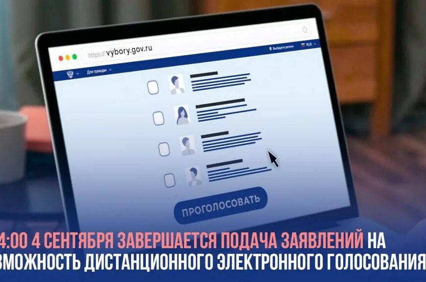 Авторизация голосование. Дистанционное электронное голосование. Скриншот электронного голосования. Скрин с госуслуг о голосовании. Скриншоты голосования госуслуги.