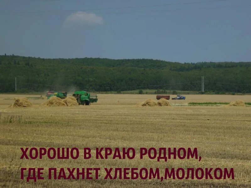 Стихи есенина о яблоках. Образ для фотосессии в сене. Закружилась листва золотая есенин. Пахнет сеном и гумном есенин. Хорошо в краю родном.