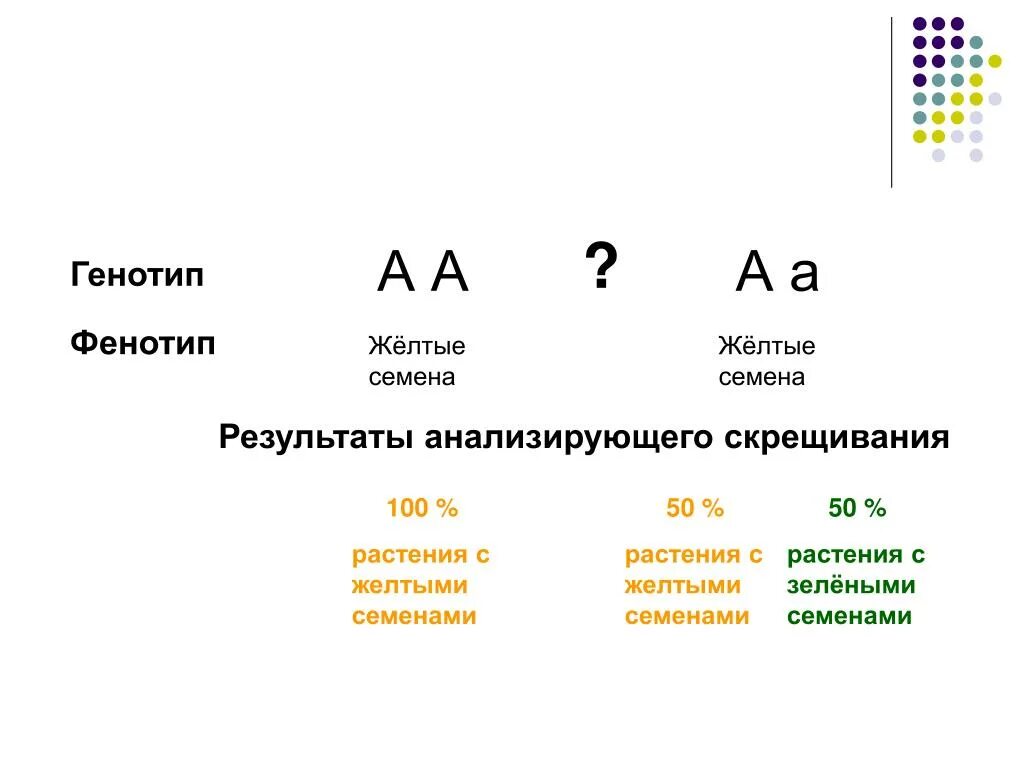 Какой генотип у родителей. Генотип. Генотип и фенотип. Генотип АА. АА АА генотип и фенотип.