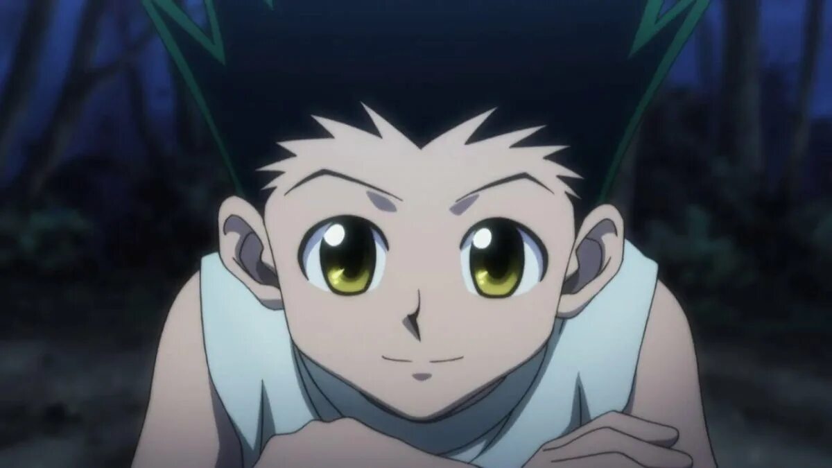 Кинн хантера х хантер. Гон фрикс. hunter x hunter гон фрикс. хантер х хантер gon. аниме хантер хантер гон.