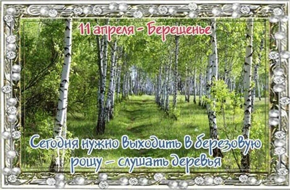 Березовые праздники
