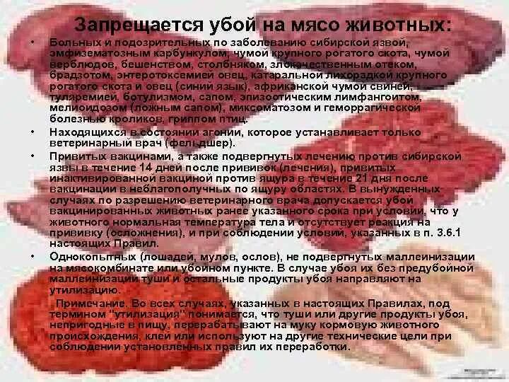 Через сколько после мяса можно есть