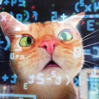 Читы котика