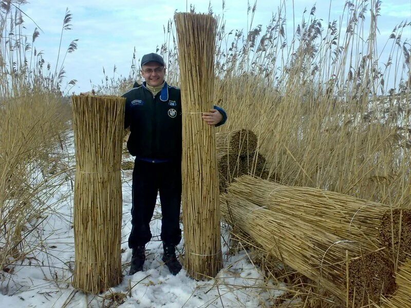 плетение из камыша: 10 тыс изображений найдено в Яндекс.Картинках Плетение