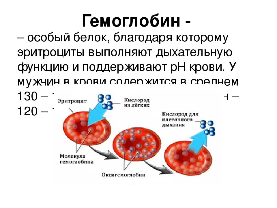 Эритроциты понижены в крови у мужчин причины. Гемоглобин а 1 содержится в эритроцитах. Повышенное содержание гемоглобина в 1 эритроците. Гемоглобин и Эритройит. Эритроциты и гемоглобин в крови.