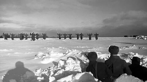 Тайфун 1941