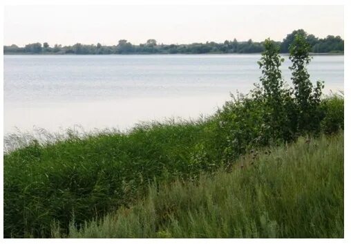 Село хорошее новосибирская область