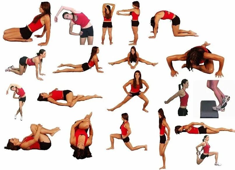 Комплекс упражнений на растяжку для начинающих. Растяжка для всего тела комплекс упражнений для начинающих. Комплекс упражнений для растяжки мышц 10 упражнений. Комплекс упражнений на гибкость и растяжку.