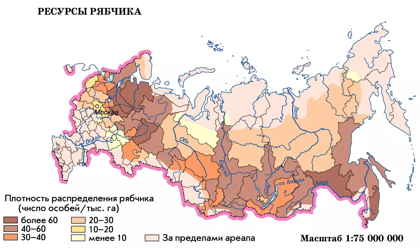 Плотный особо. Ареал обитания косули на карте России. Рябчик ареал обитания. Ареал обитания рябчика в России на карте. Ареал обитания рябчика в России.