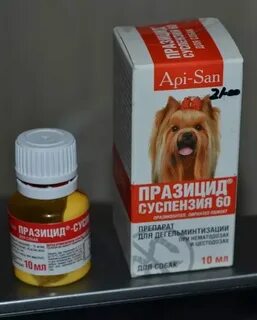 Можно давать йорку печень