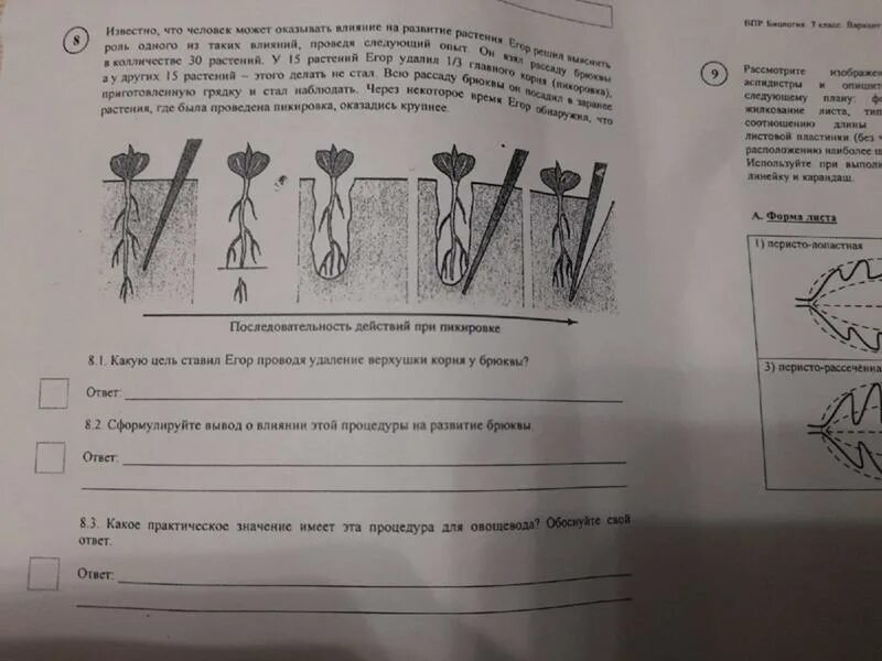 Впр класс ру биология 7 класс