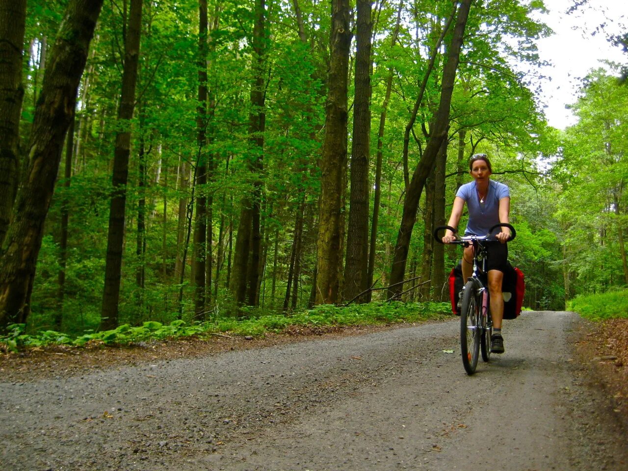 Bike traveling. Велосипедная прогулка в лесу. Катание на велосипеде. Прогулка на велосипеде. Велосипедист в лесу.