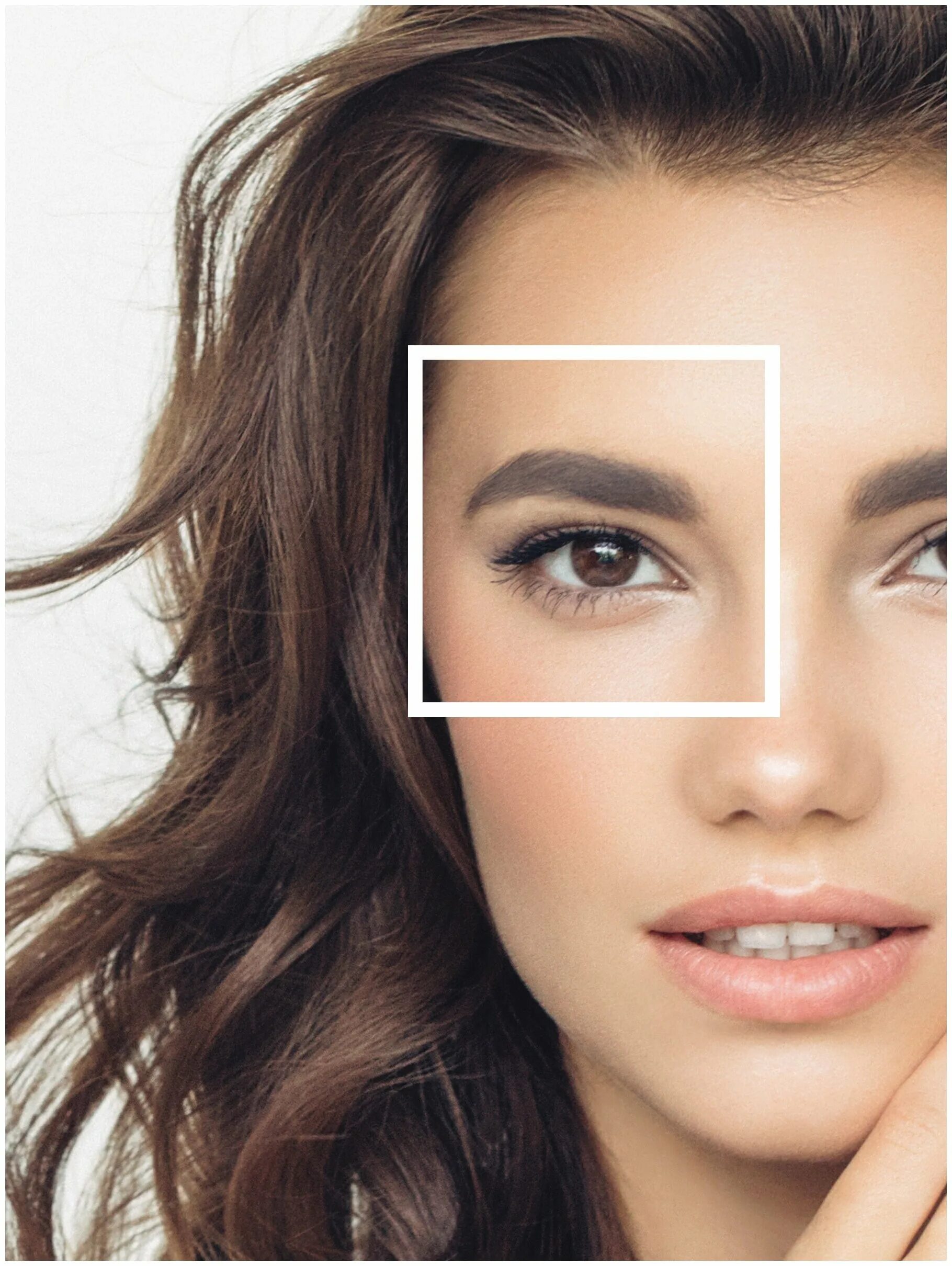 цветные брови. идеальные брови. макияж с цветными бровями. тейлор хилл глаза. радужный макияж глаз.