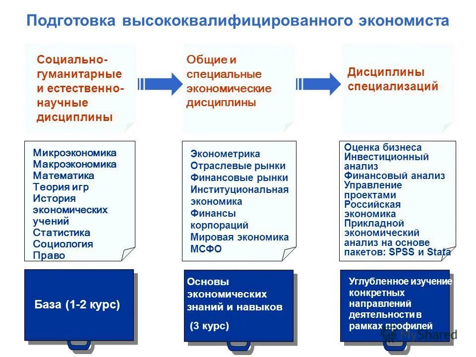 Основы экономических знаний. Компетенции экономиста. Знания и навыки экономиста. Умения и навыки экономиста. Экономическое направление проекта