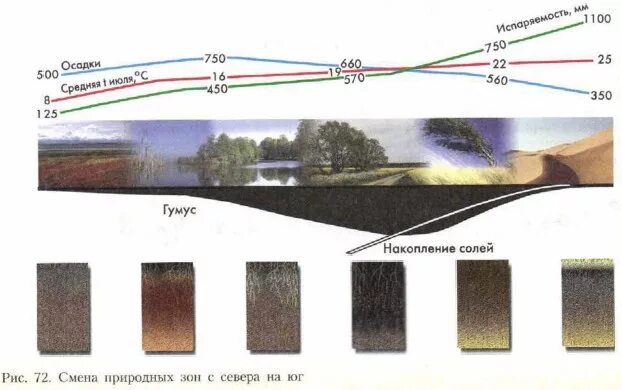 Смена природных зон с севера на Юг. Смена природных зон России с севера на Юг. Расположение почв с севера на Юг. Смена почв с севера на Юг. Порядок почв с севера на юг