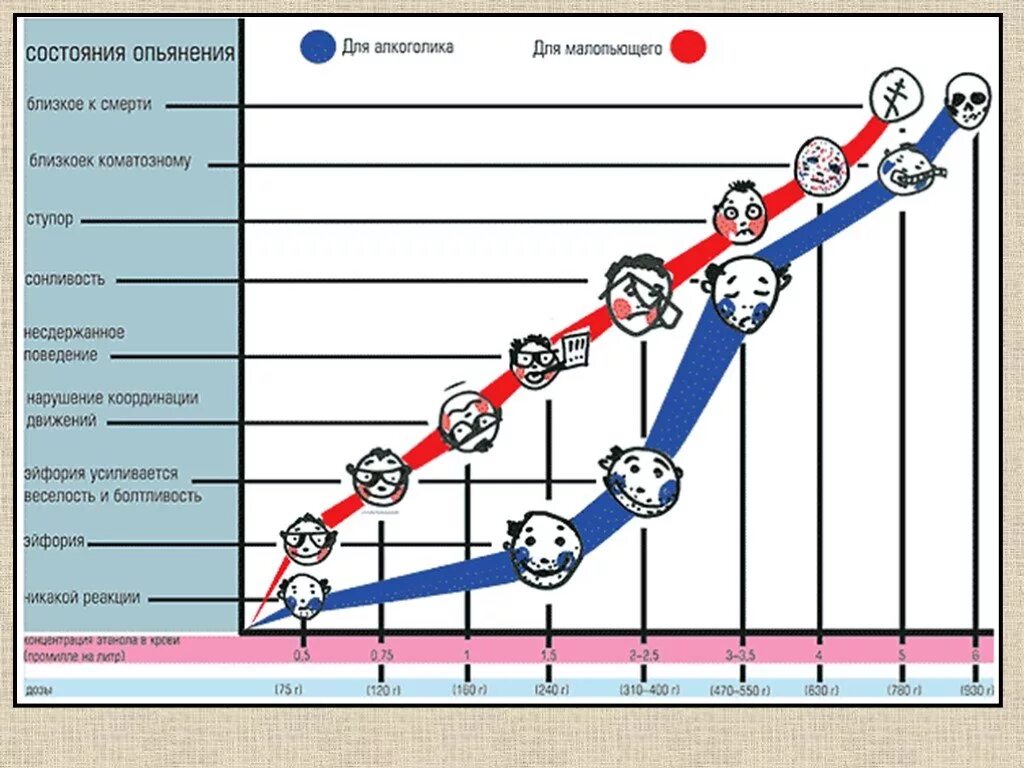 Состояние опьянения как называется. Состояние опьянения. шкала алкоголизма. стадии развития алкоголизма.