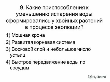 Приспособления растений к уменьшению испарения