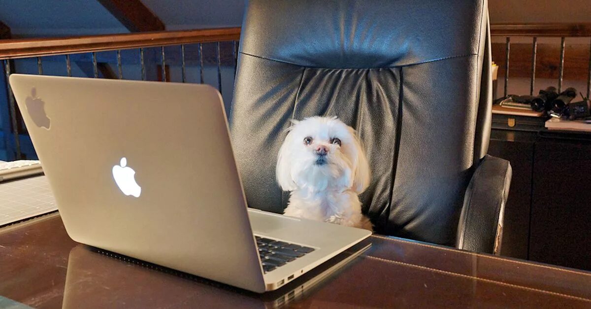 Look that my computer