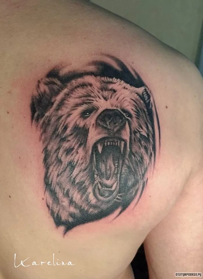 оскал медведя тату. тату оскал медведя на плече. значения тату оскал медведя. тату медведь на плече. тату оскал медведя на плече.