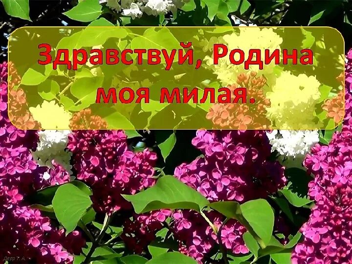 Здравствуй Родина моя. Моя милая Родина. Родина милая Родина. Песня Здравствуй Родина моя.