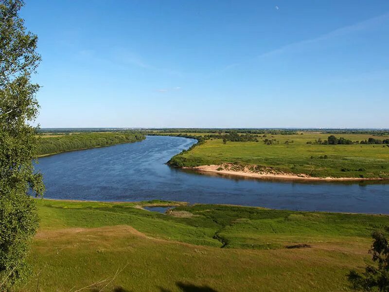 Солотча (река). Река Солотча Рязанская область. Река в Солотче Рязань. Солотча извилистая река