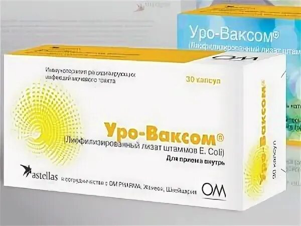 Уроваксом аналоги. Уро-ваксом капсулы. Уро ваксом таблетки. Уро-ваксом капс. 6мг №90. Уро ваксом производитель.